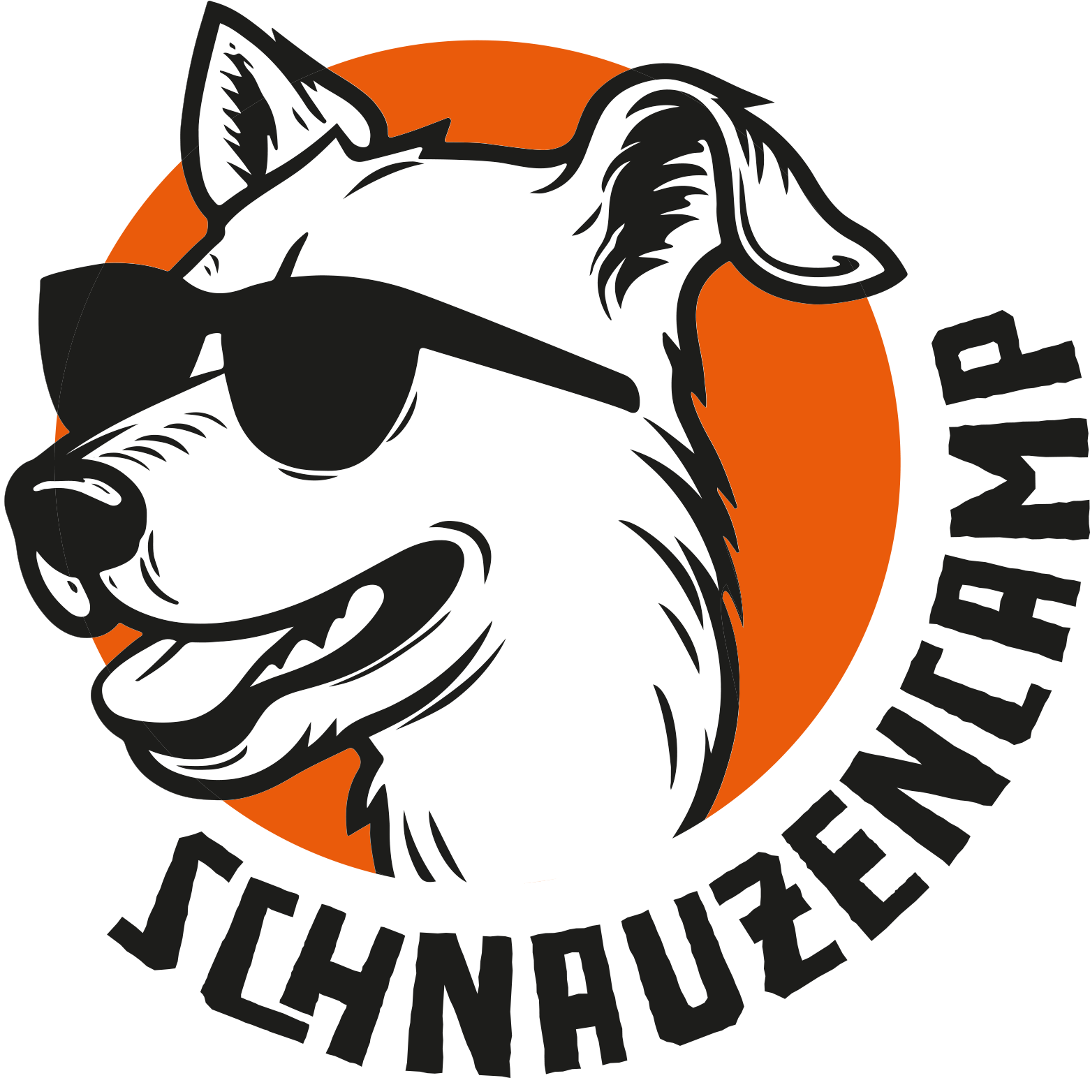 Logo SchnauzenCamp